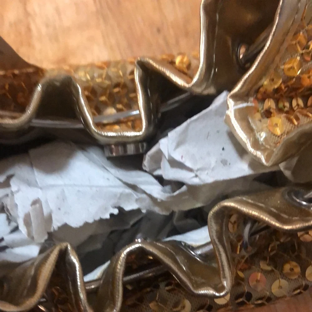 Sasha nwt clutch